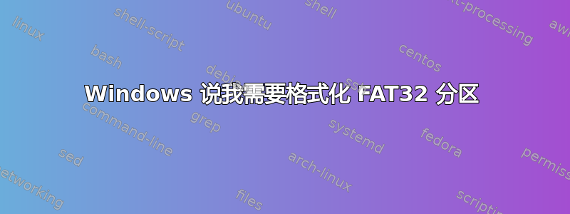 Windows 说我需要格式化 FAT32 分区