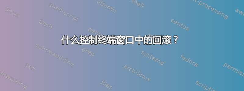 什么控制终端窗口中的回滚？