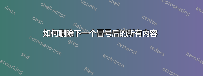 如何删除下一个冒号后的所有内容