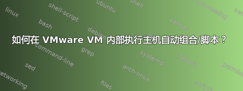 如何在 VMware VM 内部执行主机自动组合/脚本？