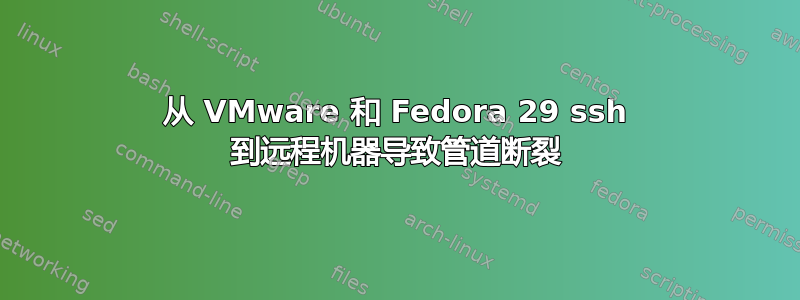 从 VMware 和 Fedora 29 ssh 到远程机器导致管道断裂