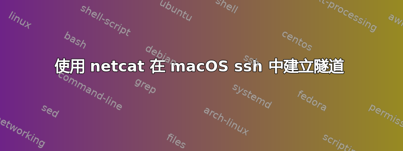 使用 netcat 在 macOS ssh 中建立隧道