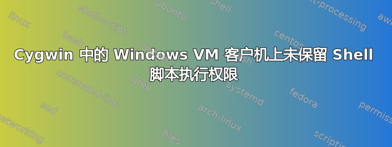 Cygwin 中的 Windows VM 客户机上未保留 Shell 脚本执行权限