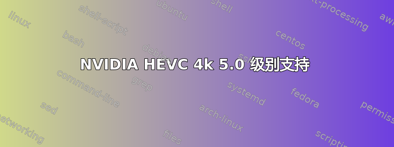 NVIDIA HEVC 4k 5.0 级别支持