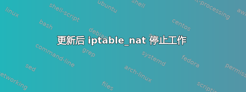 更新后 iptable_nat 停止工作