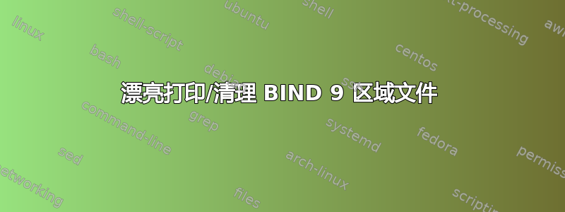 漂亮打印/清理 BIND 9 区域文件