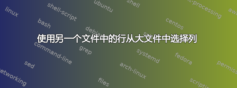 使用另一个文件中的行从大文件中选择列