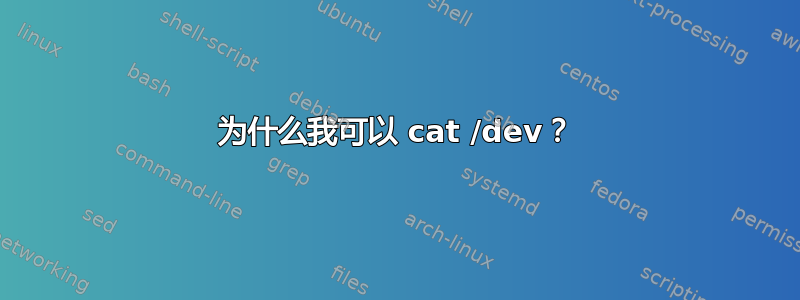 为什么我可以 cat /dev？