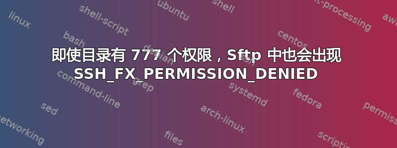 即使目录有 777 个权限，Sftp 中也会出现 SSH_FX_PERMISSION_DENIED