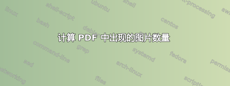 计算 PDF 中出现的图片数量