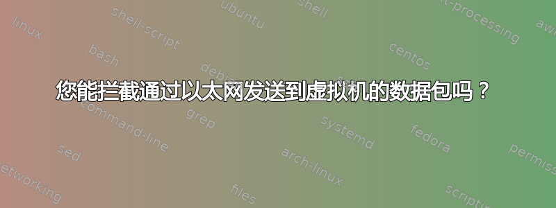 您能拦截通过以太网发送到虚拟机的数据包吗？