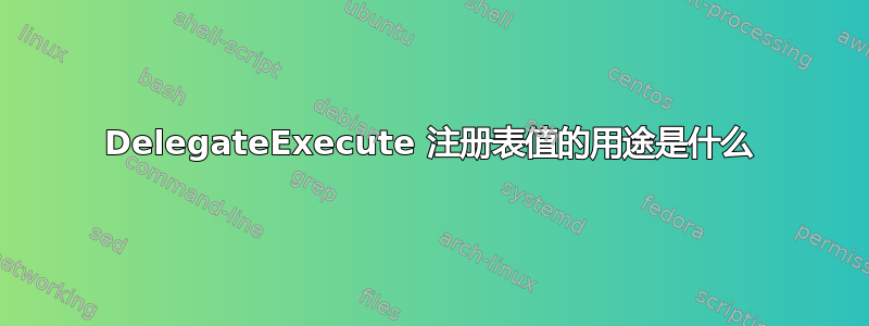 DelegateExecute 注册表值的用途是什么