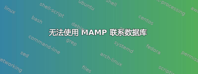 无法使用 MAMP 联系数据库