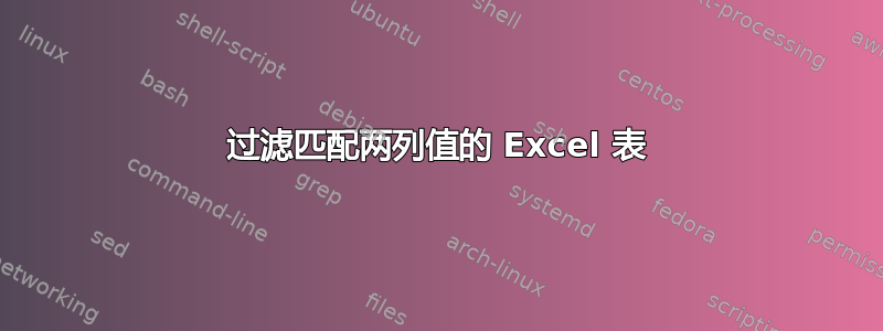 过滤匹配两列值的 Excel 表