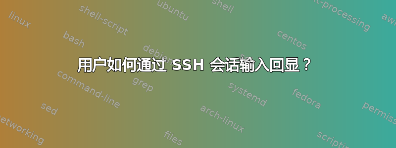 用户如何通过 SSH 会话输入回显？