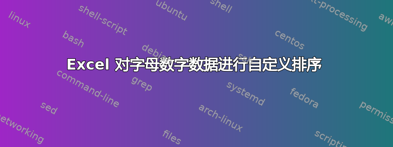 Excel 对字母数字数据进行自定义排序