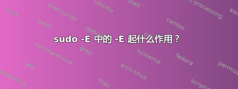 sudo -E 中的 -E 起什么作用？