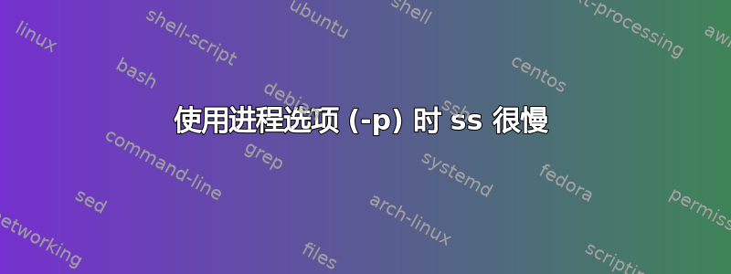 使用进程选项 (-p) 时 ss 很慢