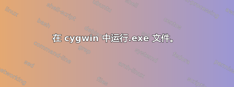 在 cygwin 中运行.exe 文件。