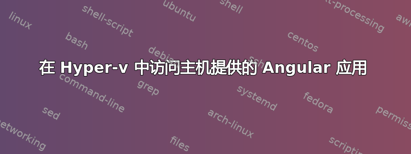 在 Hyper-v 中访问主机提供的 Angular 应用