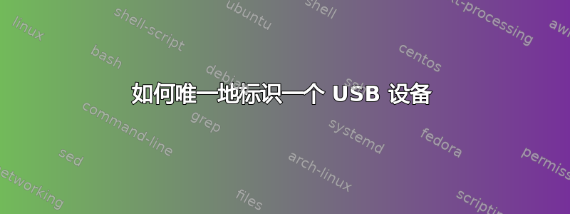 如何唯一地标识一个 USB 设备