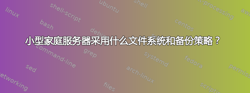 小型家庭服务器采用什么文件系统和备份策略？