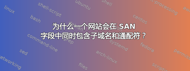 为什么一个网站会在 SAN 字段中同时包含子域名和通配符？