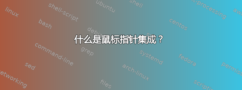 什么是鼠标指针集成？