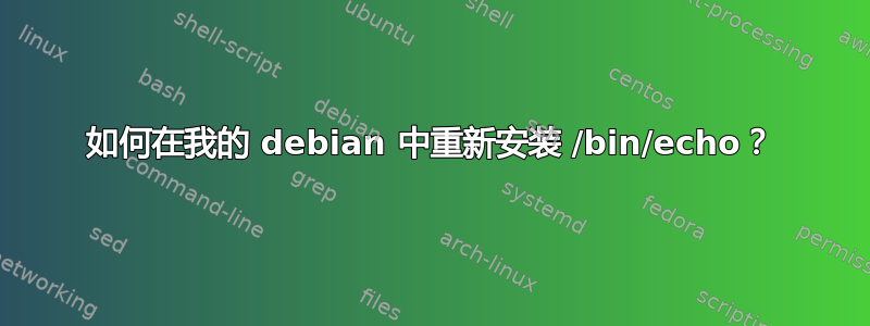 如何在我的 debian 中重新安装 /bin/echo？