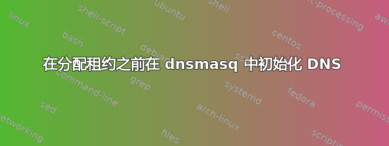 在分配租约之前在 dnsmasq 中初始化 DNS