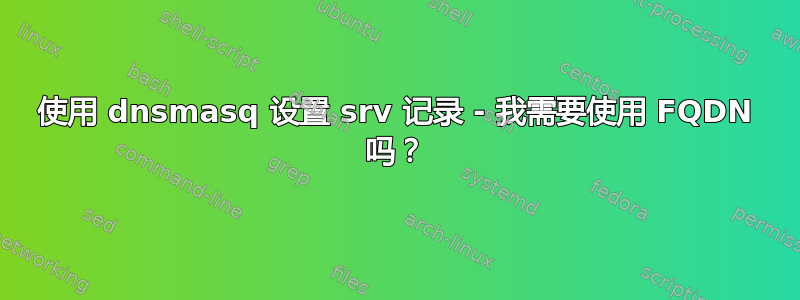 使用 dnsmasq 设置 srv 记录 - 我需要使用 FQDN 吗？