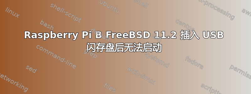 Raspberry Pi B FreeBSD 11.2 插入 USB 闪存盘后无法启动