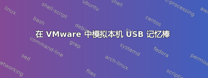 在 VMware 中模拟本机 USB 记忆棒