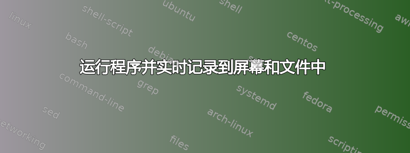 运行程序并实时记录到屏幕和文件中