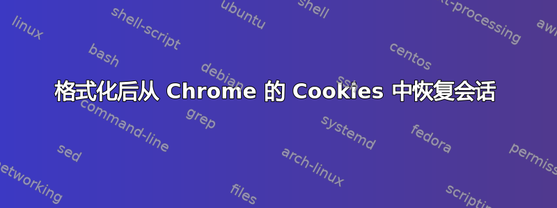 格式化后从 Chrome 的 Cookies 中恢复会话