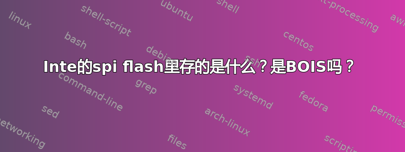 Inte的spi flash里存的是什么？是BOIS吗？