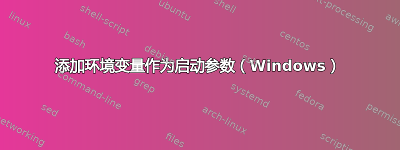 添加环境变量作为启动参数（Windows）