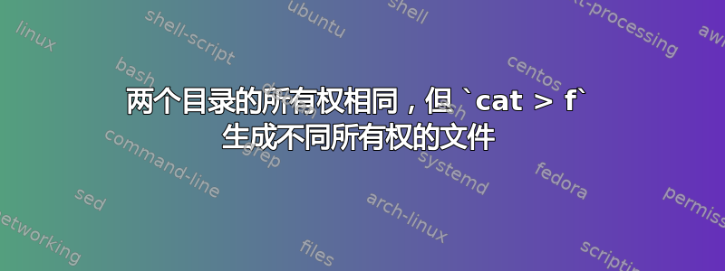 两个目录的所有权相同，但 `cat > f` 生成不同所有权的文件