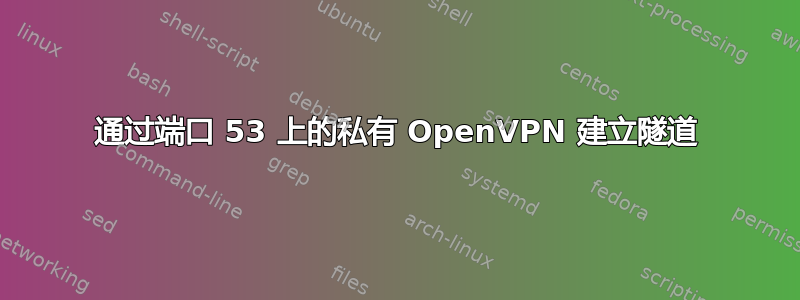 通过端口 53 上的私有 OpenVPN 建立隧道