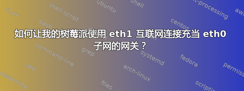 如何让我的树莓派使用 eth1 互联网连接充当 eth0 子网的网关？