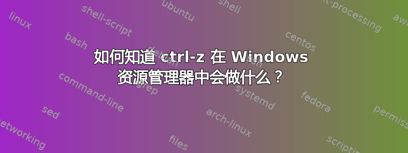 如何知道 ctrl-z 在 Windows 资源管理器中会做什么？