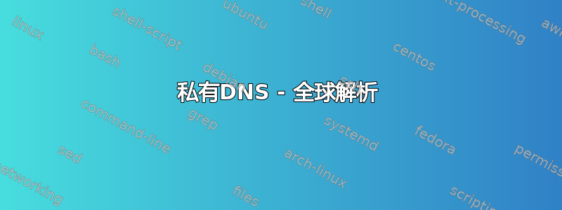 私有DNS - 全球解析