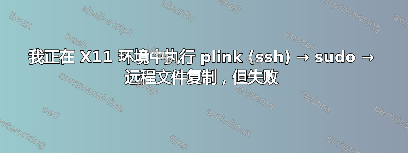 我正在 X11 环境中执行 plink (ssh) → sudo → 远程文件复制，但失败