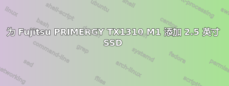 为 Fujitsu PRIMERGY TX1310 M1 添加 2.5 英寸 SSD