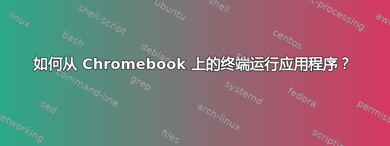 如何从 Chromebook 上的终端运行应用程序？