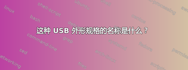 这种 USB 外形规格的名称是什么？