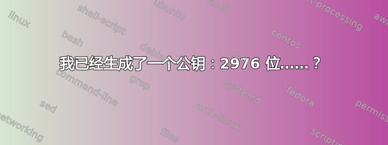 我已经生成了一个公钥：2976 位……？