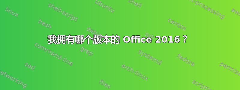 我拥有哪个版本的 Office 2016？