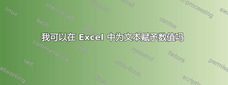 我可以在 Excel 中为文本赋予数值吗