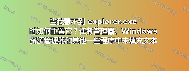 当我看不到 explorer.exe 时如何重置它？任务管理器、Windows 资源管理器和其他一些程序中未填充文本